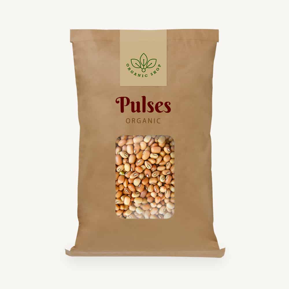 product24-free-img.jpg
