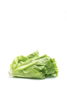 product13 free img 230×300.jpg