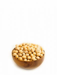 product17 free img 230×300.jpg